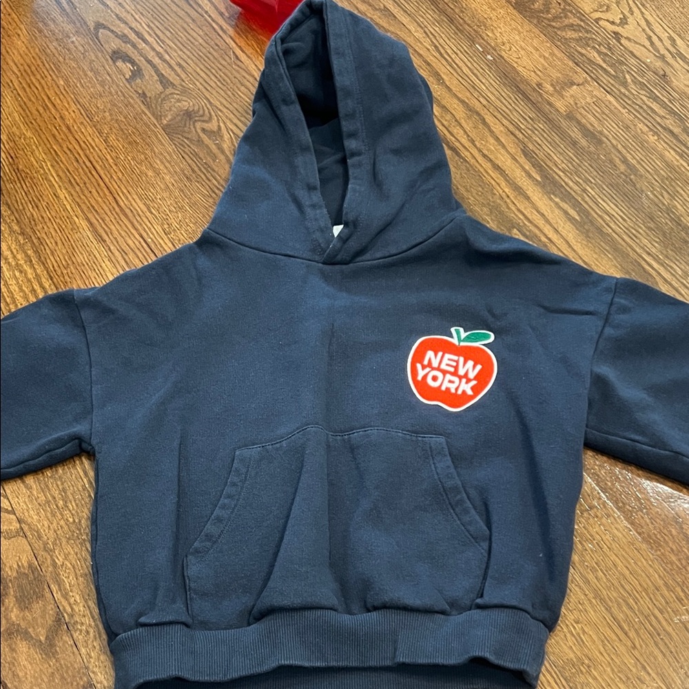 Zara Little Boys Hoodie